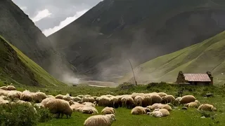 وثائقي رعاة الاغنام في جبال داغستان 