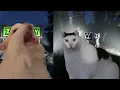 CAT MEMES - Zoonomaly Theme Song (COVER)