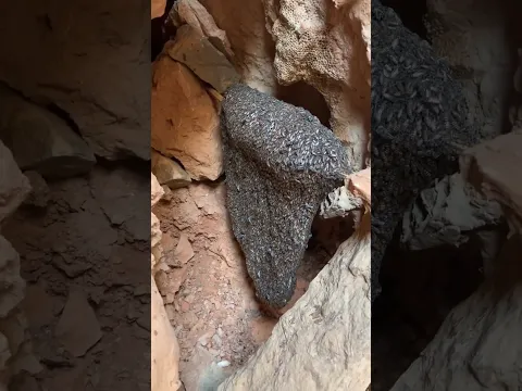 11 يونيو، 2026