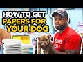 How to get papers for dogs For dogs without papers