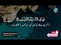 Surah Rahman with Urdu Translation | Beautiful Quran Tilawat by Qari Abdul Basit | سورۃ الرح | 189