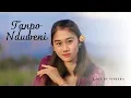 Download Lagu TANPO NDUWENI - Lagu Jawa Paling Enak Didengar | Vinsaka Official