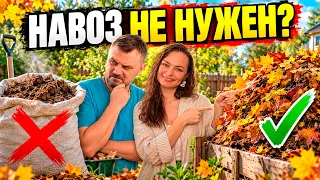 Листья как удобрение: СЕКРЕТ пользы из "мусора"