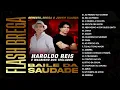 Download Lagu HAROLDO REIS - FLASH BREGA - BAILE DA SAUDADE
