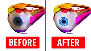 10 Great Exercises To Improve Your Eyesight 