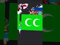 Custom flags I made