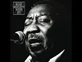 Mannish Boy (Live)
