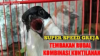 ancaman cendet ini bawakan tembakan rudal kombinasi kuntilanak king greja 