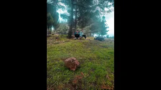 زهورا قتلتي بلا ذنب  كاملة عيون بريئة ترنو للسماء بعتاب دندنها