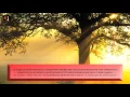 Download Lagu Surja Lukman - Mishary Rashid
