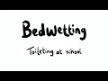 Bedwetting Advice Toileting at School