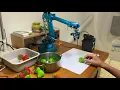 A demo of agriculture robot Robotic arm Raspberry PI Python OpenCV