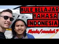 Lagu Indonesia | Bule belajar Bahasa Indonesia | muda, mudah, mudah-mudahan (Casey learns Indonesian)