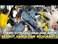 Download Lagu TUJUH JENIS KICAUAN BURUNG KUTILANG DI INDONESIA DAN IMPOR BERIKUT HARGA DAN SUARANYA