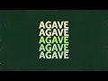 Download Lagu Dawin - AGAVE (Official Audio)