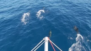 Lagoon 52S Greatcircle – Menorca (ep.19)