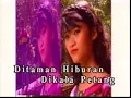 Download Lagu BERSIAR SIAR DITAMAN HIBURAN - SALIM. I