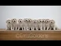 A day in the life with 10 Golden retriever puppies puppy culture