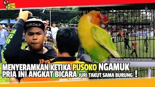 Download APBN AWARD : MENYERAMKAN KENAPA PUSOKO NGAMUK  PRIA INI ANGKAT BICARA MP3