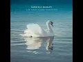 Saint-Saens: The Swan Piano Variation (From The Carnival of t... - Gabriele Bagnati