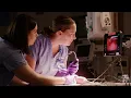 Mayo Clinic Pediatric and Adolescent Medicine Residency Minnesota