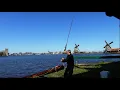 Download Lagu De Schorre Schapen zingen, terwijl de molen zaagt.