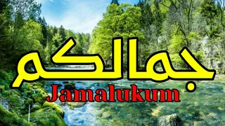 Download SHOLAWAT NABI MERDU TERBARU 2022 | JAMALUKUM (COVER+LIRIK) MP3