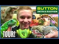 INCREDIBLE REPTILE STORE TOUR - My Local Reptile Shop Sutton Pets Exotics
