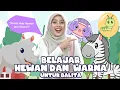 Download Lagu Belajar Bermain Untuk Bayi Dan Balita - Mengenal Kata, Warna, Mengenal Gerakan dan Nursery Rhymes