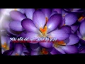 MAS ALLA DEL SOL- JOAN SEBASTIAN
