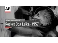 Rocket Dog Laika Movietone Moment 13 April 17