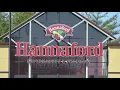 Investigation into Hannaford widespread outages is ongoing company says