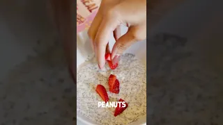 Strawberry Chia Nut Pudding recipe