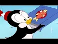 Lagu Chilly Willy Full Episodes 🐧Freeze Dried Chilly - Chilly willy the penguin 🐧Videos for Kids