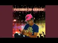 Lagu Passinho do Sansão