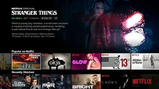 Netflix Wikipedia article