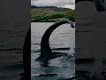 Loch Ness Monster Emerges #ai #aiart #lochness #lochnessmonster #monster #scotland #mystery #legend