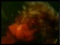 Omega Vibes - The heart and the soul