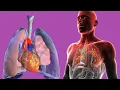 Bubbling Feeling In The Chest Main Causes