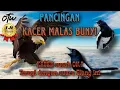 Download Lagu KACER susah ON? malas bunyi? lambat panas? coba pancing dengan \