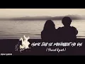 Hume Jabse Mohobbat Ho gayi hai | Slowed Reverb song | Boarder | Pooja Bhatt | Khanna |