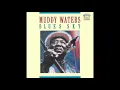 Muddy Waters -  Who do you trust