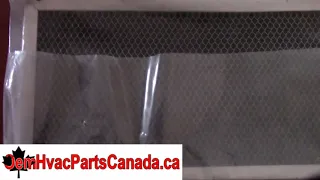                                                  دندنها