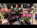 Lowes 1 000 Fountain