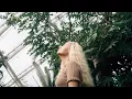 Download Lagu Moment Cinebloom Diffussion Filter | A Cinematic Look