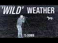 Lagu 75 Foxes in 3 Nights | Brutal Weather Conditions | Professional Fox Control
