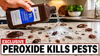 How To Use Hydrogen Peroxide To Kill Roaches Ants Bedbugs Fleas and Mice 27 Different Pests