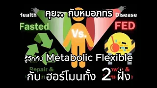 อินซูลินมีบทบาทอย่างไรในกระบวนการเมตาบอลิซึมของร่างกาย