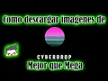 Como descargar albums completos de Cyberdrop me