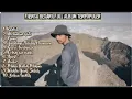 Download Lagu FIERSA BERSARI \